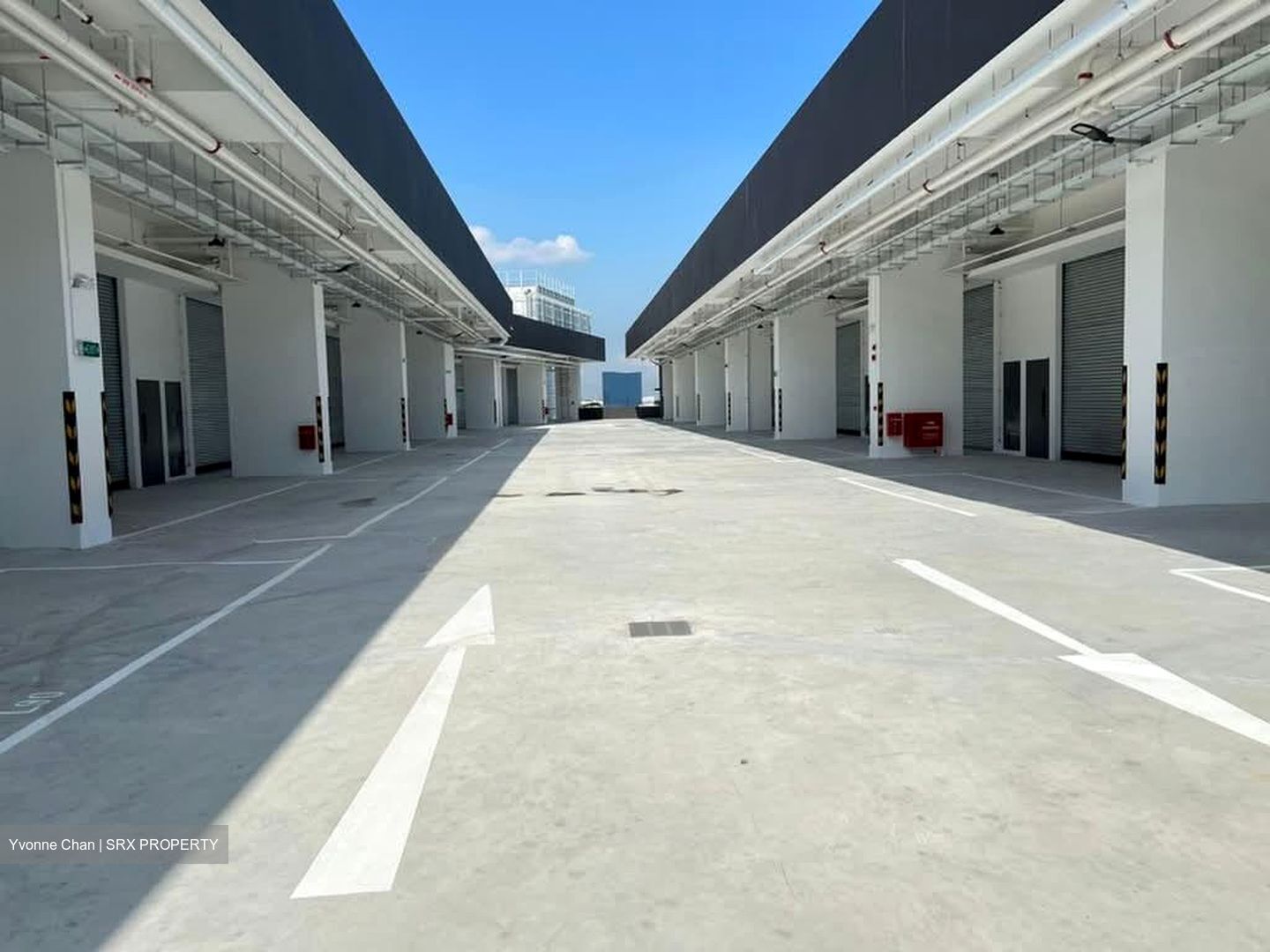 REVV (D22), Factory #584291411